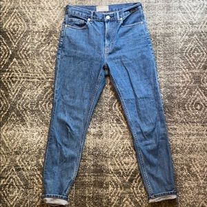 Everlane High Rise Skinny Jean